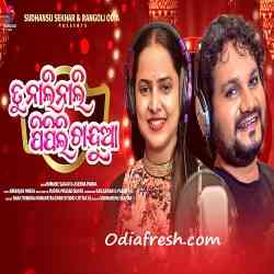 Tu Nali Nali PiPili Chandua